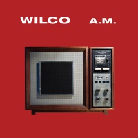 Rhino Wilco - A.M. Photo