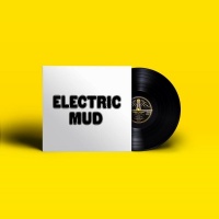 Muddy Waters - Electric Mud Photo