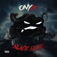 X Ray Records Onyx - Black Rock Photo