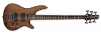 Ibanez SRC6-WNF SR Workshop Series 6 String SRC6 Crossover Bass Guitar Photo