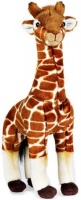 National Geographic Giraffe Plush Photo