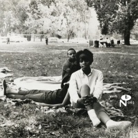 Numero Eccentric Soul: Sitting In the Park / Various Photo