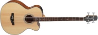 Takamine GB30CE-NAT 4 String Jumbo Acoustic Electric Bass Guitar Photo