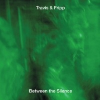 Theo Travis & Robert Fripp - Between the Silence Photo