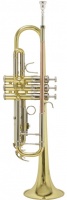 Conn Selmer Conn-Selmer TR-501 Bach Bb Trumpet Photo