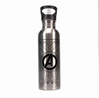 Avengers Iron Man - 750ml Water Bottle Photo