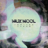 Vinyl Digital Mux Mool - Implied Lines Photo