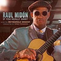 Artistry Music Raul Midon - If You Really Want Photo
