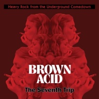 Riding Easy Brown Acid - the Seventh Trip / Various Photo