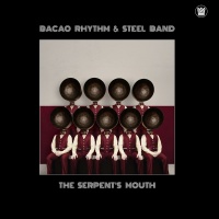 Big Crown Bacao Rhythm & Steel Band - Serpent's Mouth Photo
