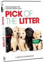 Pick of the Litter Photo