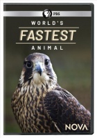 Nova:World's Fastest Animal Photo