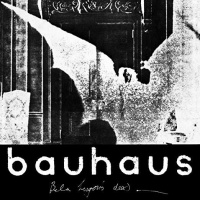 Bauhaus - the Bela Session [CD] Photo