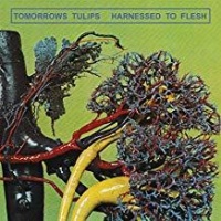 Burger Records Tomorrows Tulips - Harnessed to Flesh Photo