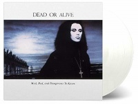 Music On Vinyl Dead or Alive - Mad Bad & Dangerous to Know Photo