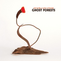 Meg & Mary Lattimore Baird - Ghost Forests Photo