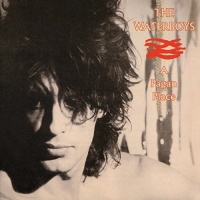 Imports The Waterboys - Pagan Place Photo