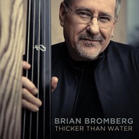 Artistry Music Brian Bromberg - Thicker Than Water Photo