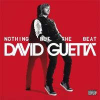 David Guetta - Nothing But the Beat Photo