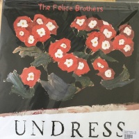 Felice Brothers - Undress Photo