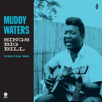 Muddy Waters - Sings Big Bill Photo