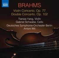 Naxos Brahms / Wit / Schwabe - Violin Concert 77 Photo