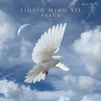 Real Music Liquid Mind - Liquid Mind 12: Peace Photo