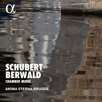 Alpha Berwald / Brugge - Chamber Music Photo