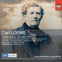 Toccata Loewe / Nicholson - Piano Music 2 Photo