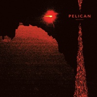 Southern Lord Pelican - Nighttime Stories Photo