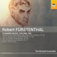 Toccata Furstenthal / Rossetti Ensemble - Chamber Music 1 Photo