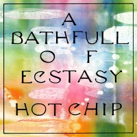 Domino Hot Chip - Bath Full of Ecstasy Photo