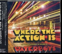 Waterboys - Where the Action Is Photo