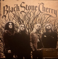 Music On Vinyl Black Stone Cherry - Black Stone Cherry Photo