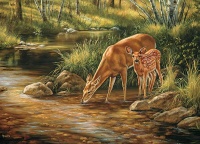 Cobble Hill - Deer Family Puzzle Photo