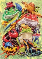 Cobble Hill - Frog Pile Puzzle Photo