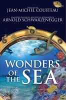 Wonders of the Sea Photo