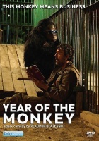 Year of the Monkey Photo
