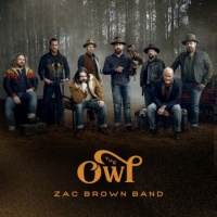 Zac Band Brown - Owl Photo