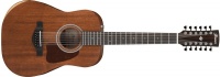 Ibanez AW5412JR-OPN Artwood Series Traditional Dreadnought 12 String Acoustic Guitar with Bag Photo