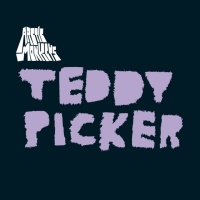 Arctic Monkeys - Teddy Picker Photo