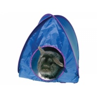 Rosewood - Tent Pop Up - Blue Photo