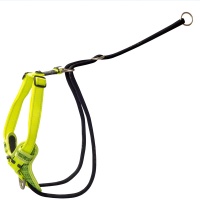 Rogz - Utility Large 20mm Stop-Pull Harness Dayglo Photo