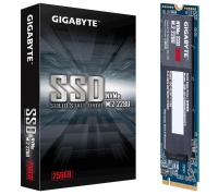 Gigabyte - M.2 2280 NVMe 256GB Internal Solid State Drive Photo