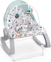 Fisher Price Fisher-Price - Infant to Toddler Rocker Photo