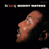 Wax Time Muddy Waters - The Best of Photo