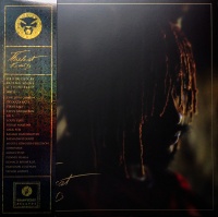 Brainfeeder Thundercat - It Is What It Is Photo