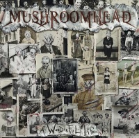 Mushroomhead - Wonderful Life Photo