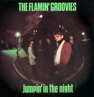 Flamin' Groovies - Jumpin' In the Night Photo