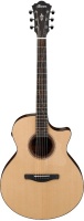 Ibanez AE325 Acoustic Electric Guitar Photo